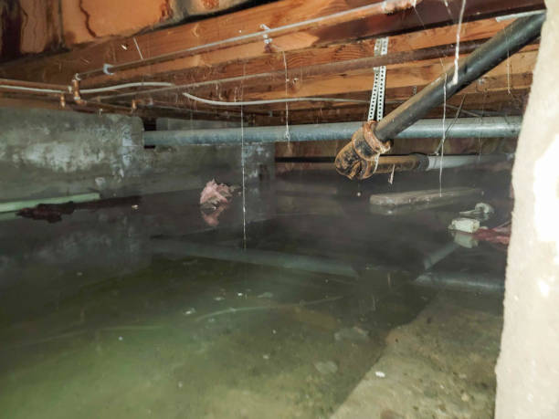 Best Emergency water damage restoration  in Lattingtown, NY