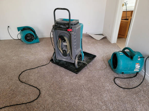 Best Emergency water damage restoration  in Lattingtown, NY