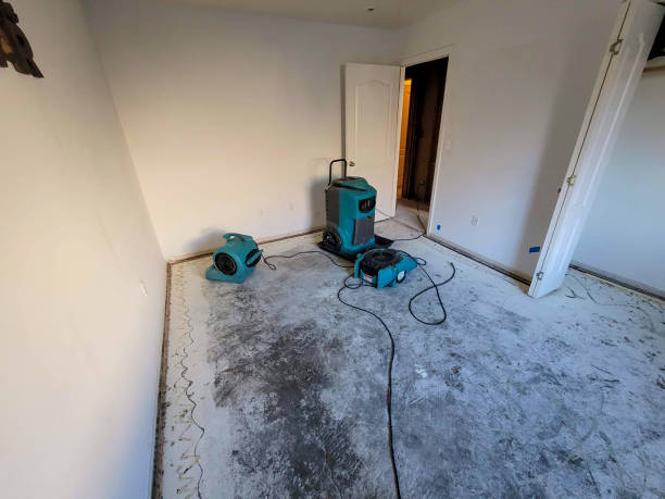Best Commercial water damage restoration  in Lattingtown, NY