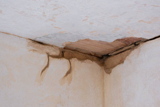 Best Mold removal after water damage  in Lattingtown, NY