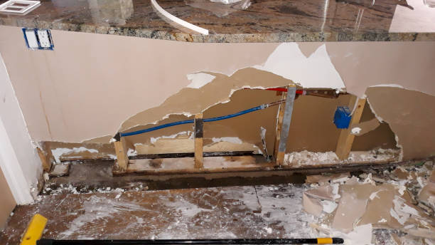 Best Mold removal after water damage  in Lattingtown, NY