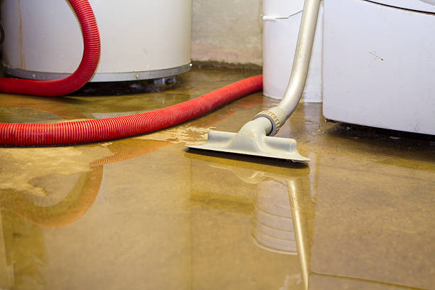 Best Water damage restoration services  in Lattingtown, NY