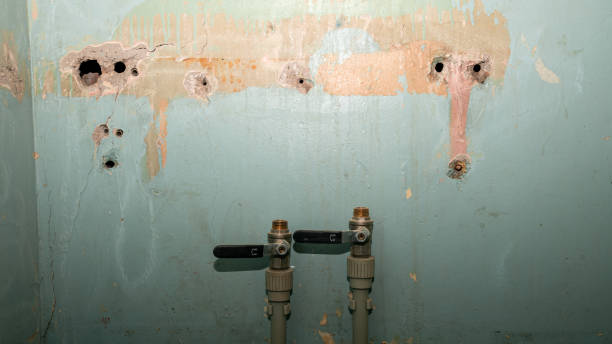  Lattingtown, NY Water damage restoration Pros