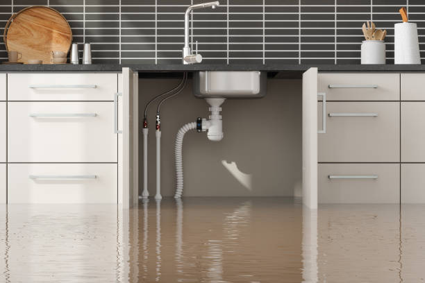 Best 24/7 water damage repair  in Lattingtown, NY
