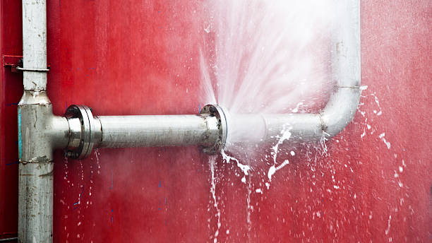 Best Local water damage restoration  in Lattingtown, NY