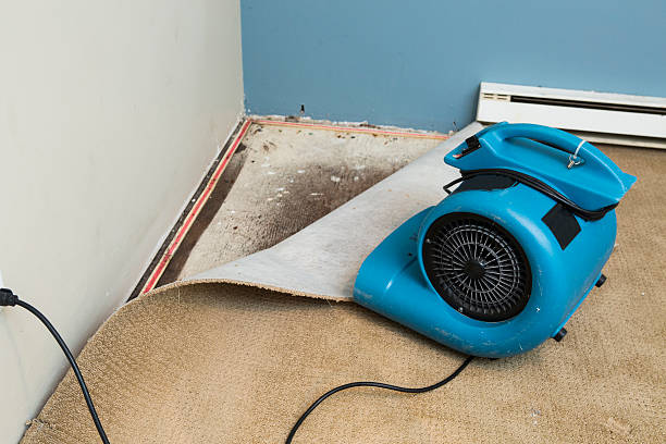 Best Carpet water damage restoration  in Lattingtown, NY